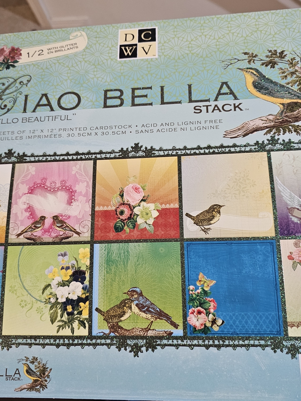 DCWV Ciao Bella Decorative Scrapbook Cardstock Bird Theme - Blue & Green 12x12